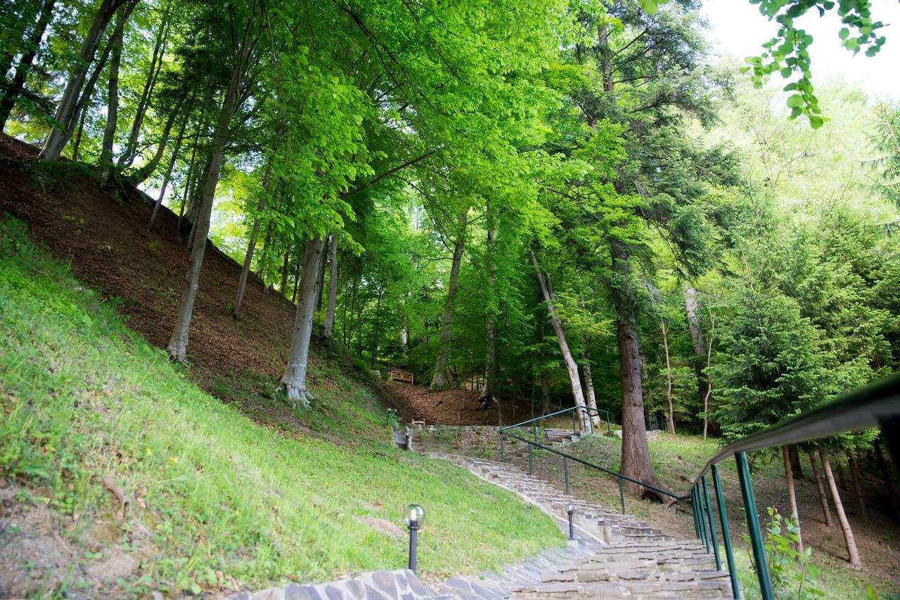 Hotel Nemira Slănic-Moldova Εξωτερικό φωτογραφία