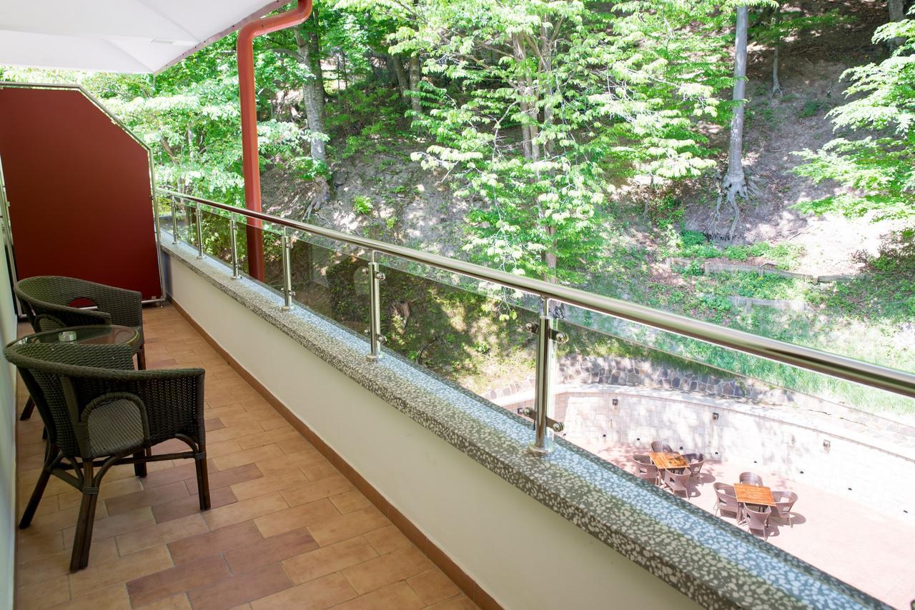 Hotel Nemira Slănic-Moldova Εξωτερικό φωτογραφία